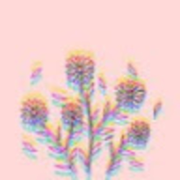 Meet your Posher, Denise - Picture 1 of 1